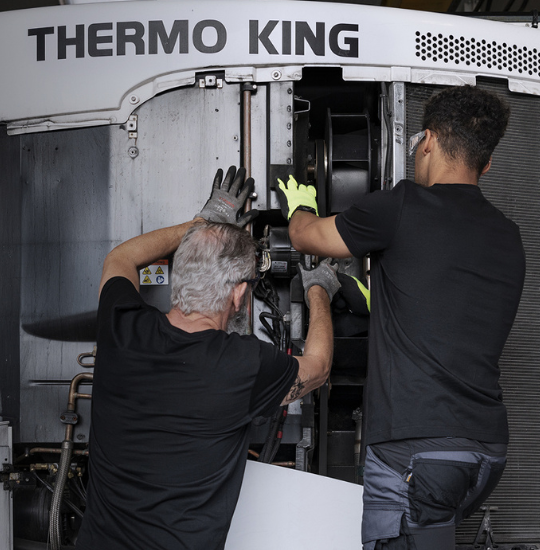 soporte-tecnico-logistica-refrigerada-sureste-mobil