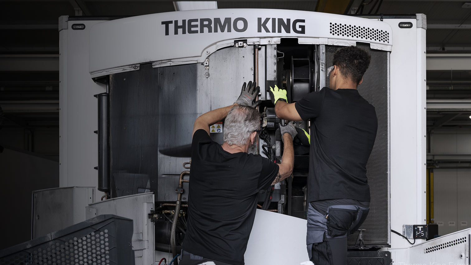 soporte-tecnico-logistica-refrigerada-sureste